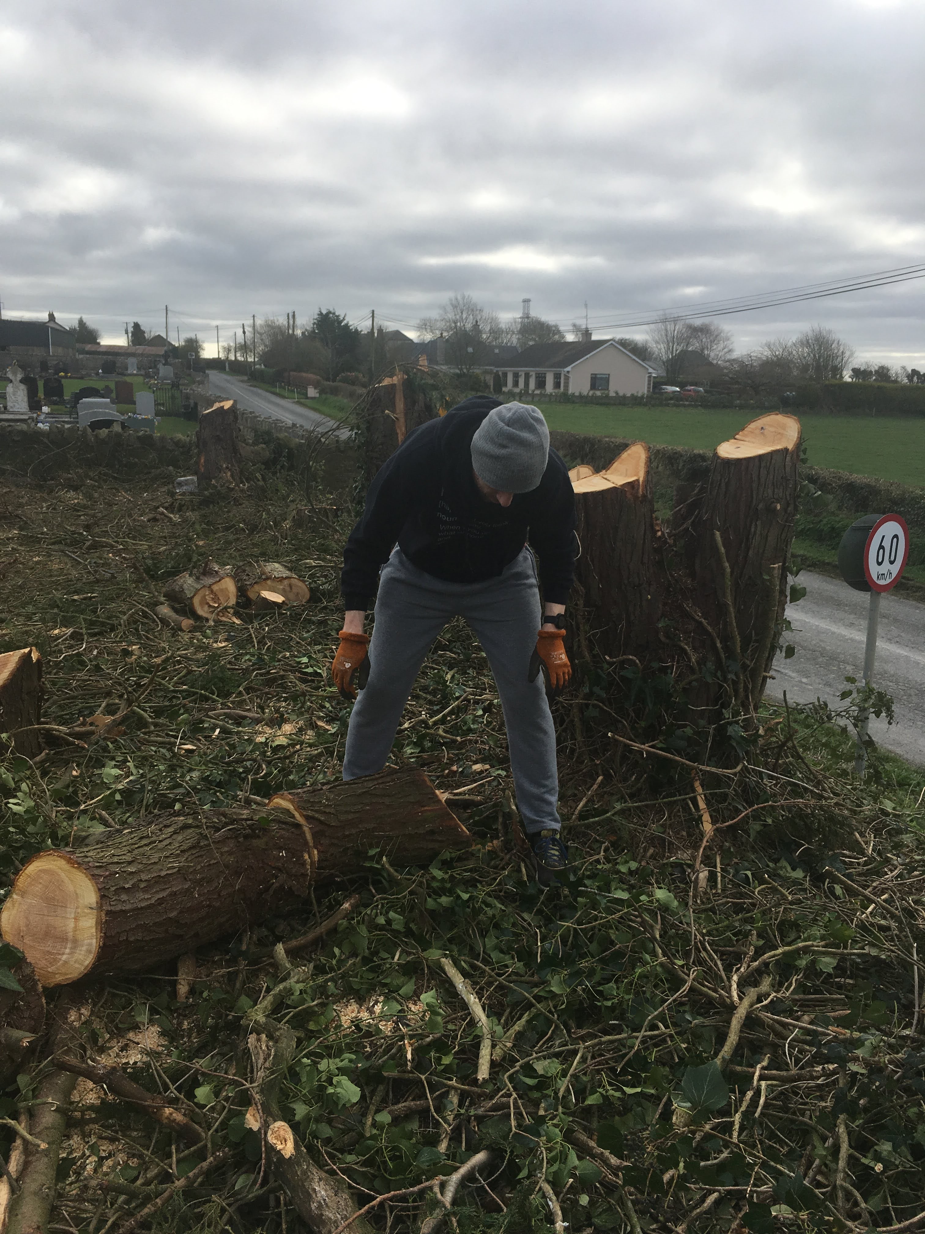 A volunteer clearing a felled tree trunk beside the graveyard wall