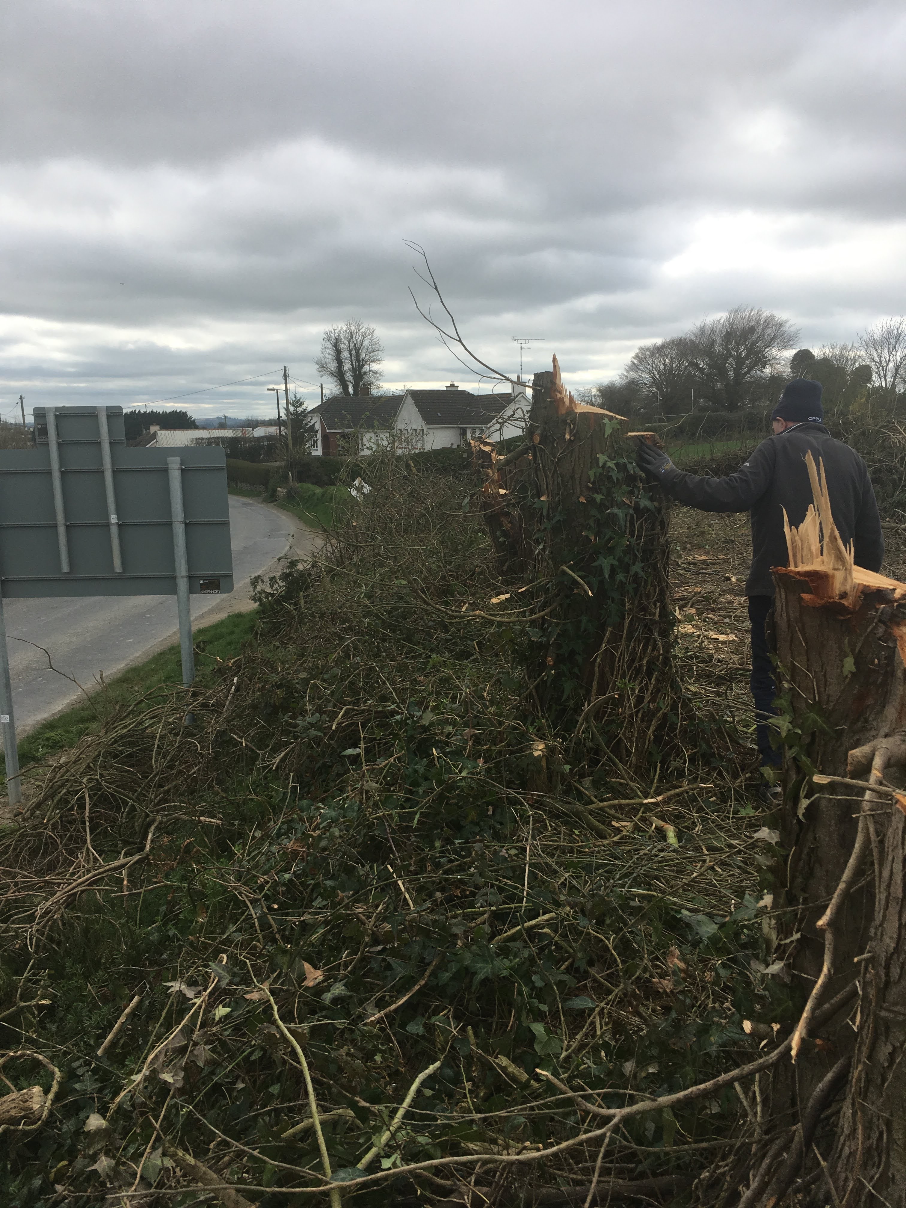 Clearing the overgrown roadside hedgerow at the court